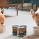 Mix Your Dog's Routine up With the Best Wet Food